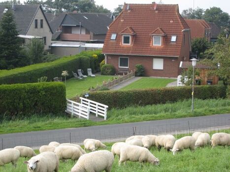 Blick v. Deich auf das Haus