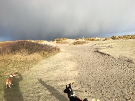 Nach dem Regen folgt immer die Sonne