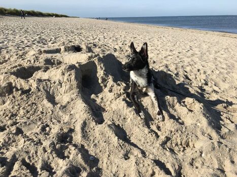 Schönes Bad im Sand