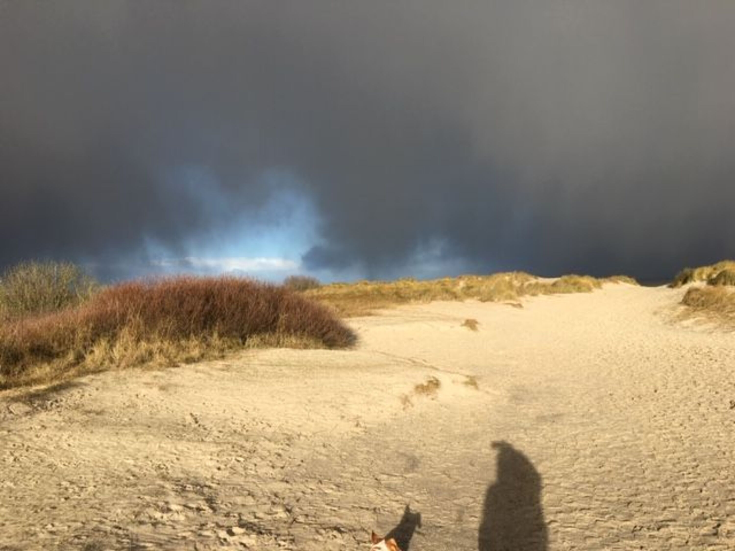 Auch wenn die Sonne nicht scheint, ein Naturerlebnis