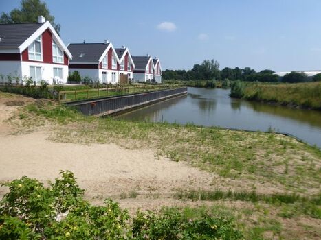 Die Natur direkt vor der Haustür