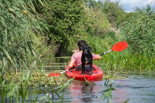 Paddeln in den Grachten