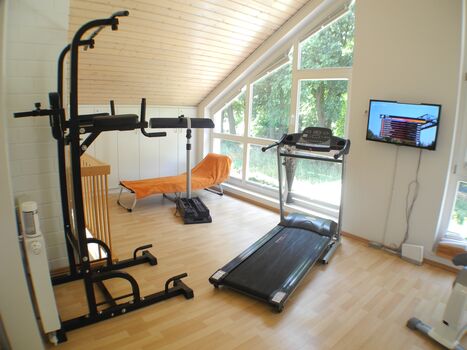 Viele Sportgeräte und WII Sport