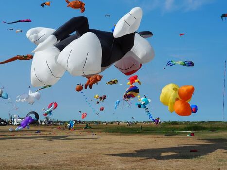 Drachenfest Schillig