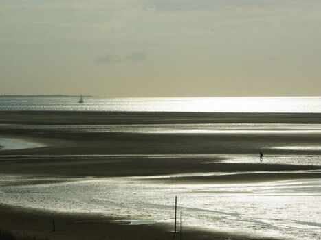 Wattenmeer im Abendlicht