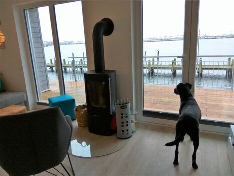 Sehnsucht im Wohnzimmer...oder..die Natur ist einen Blick wert