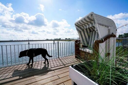 Ihr Strandkorb auf der EG Terrasse (eingezäunt)