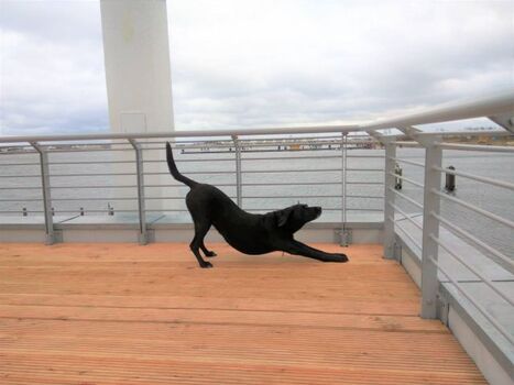 Frühsport auf der Dachterrasse (auf der einen Seite Hafen..auf der anderen Seite die Schlei)