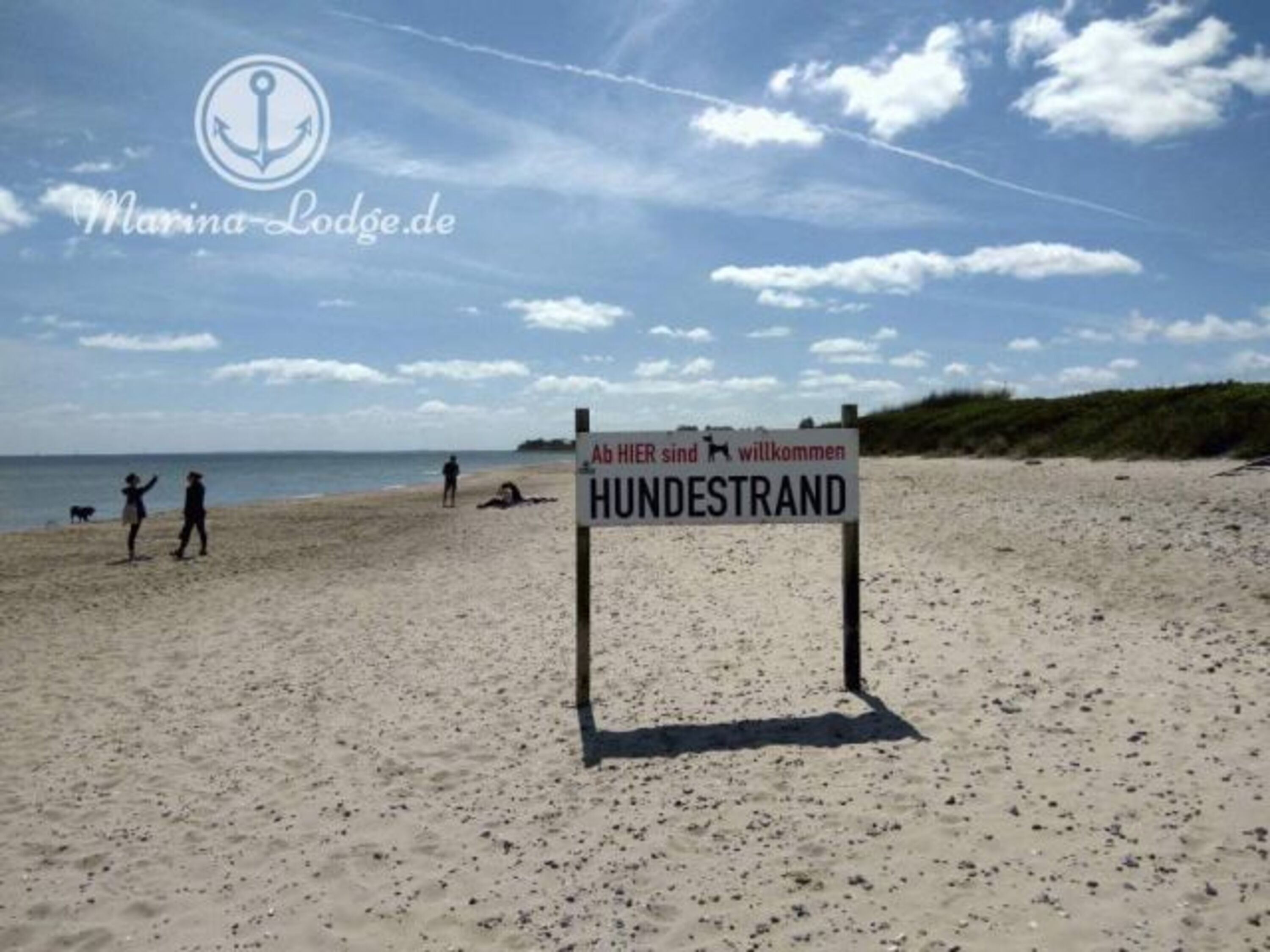 Der schöne Hundestrand von Olpenitz / Weidefelder Strand