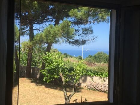 Blick aus dem Fenster