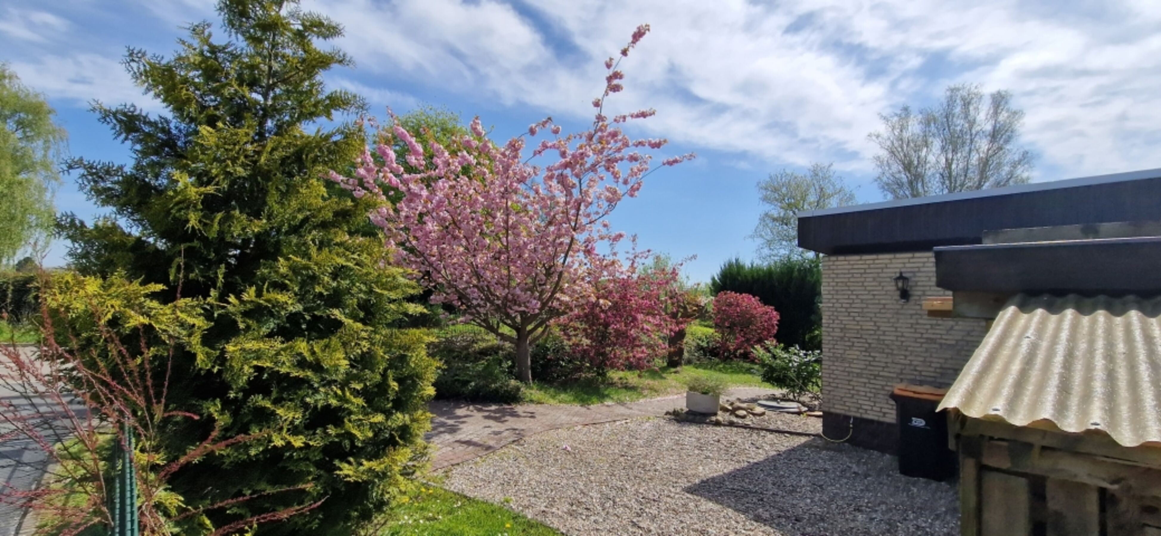 Bild 15