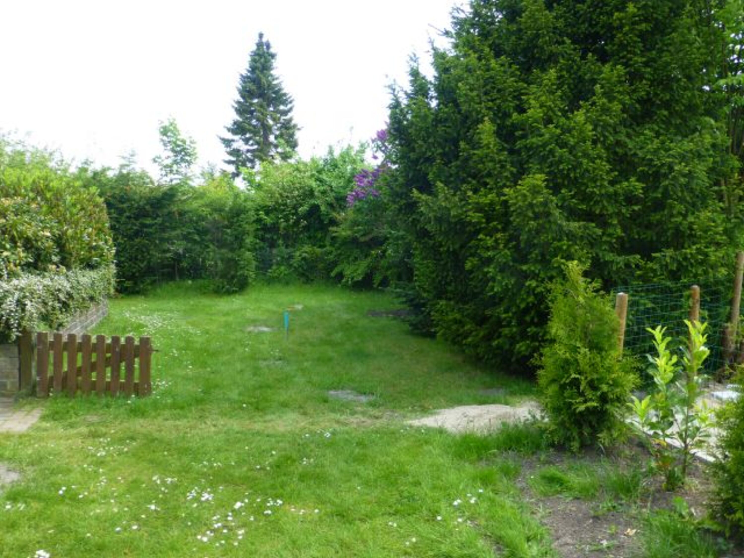 großer Garten