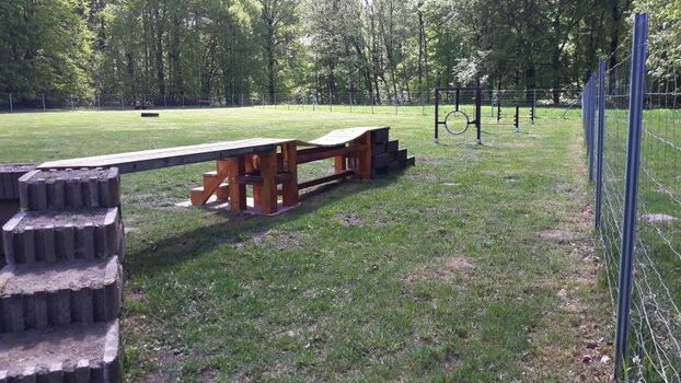 5.000 m² Hundespielplatz