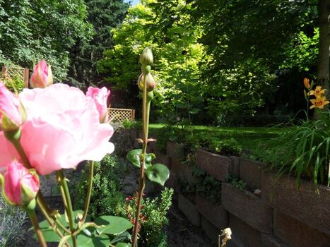 eingefriedeter Innenhof