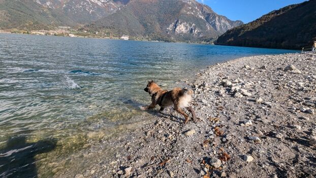 Hundestrand in Pur di Ledro