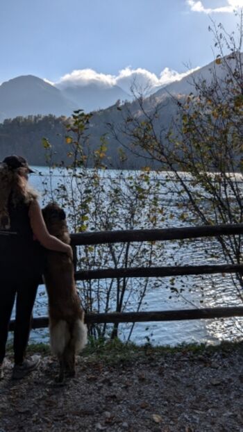 Natur pur! Ideal für Urlaub mit dem Hund 