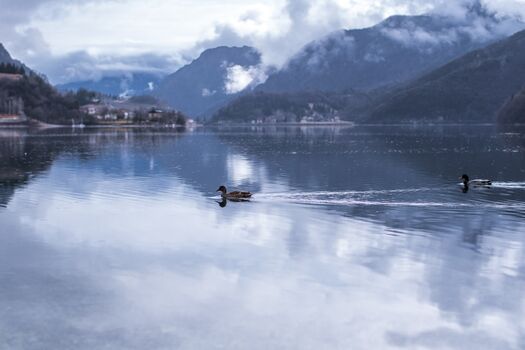 Natur pur! Ideal für Urlaub mit dem Hund 