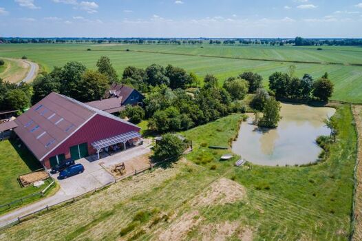 Hunde - und Spielwiese mit Teich