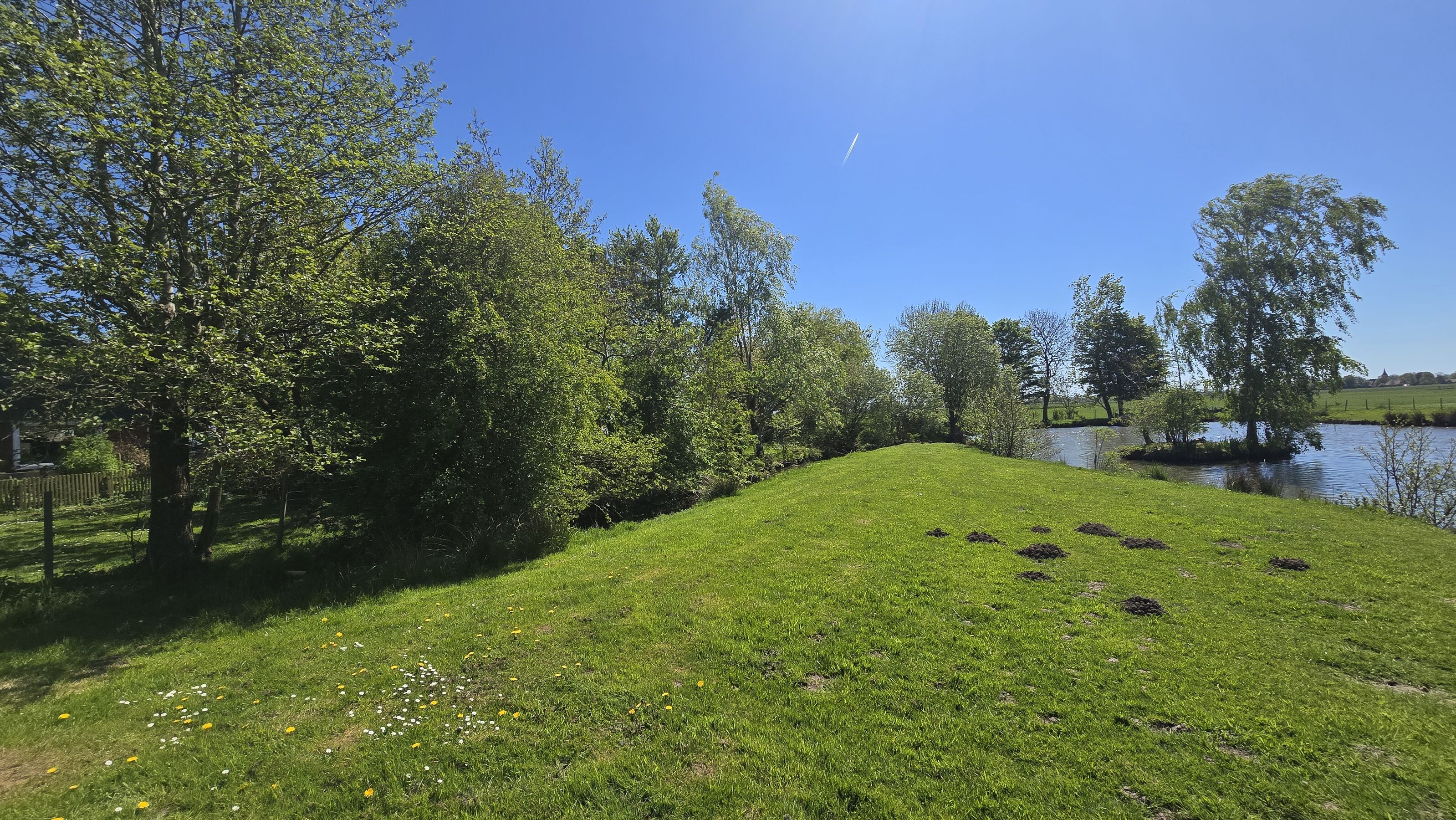 Bild 15
