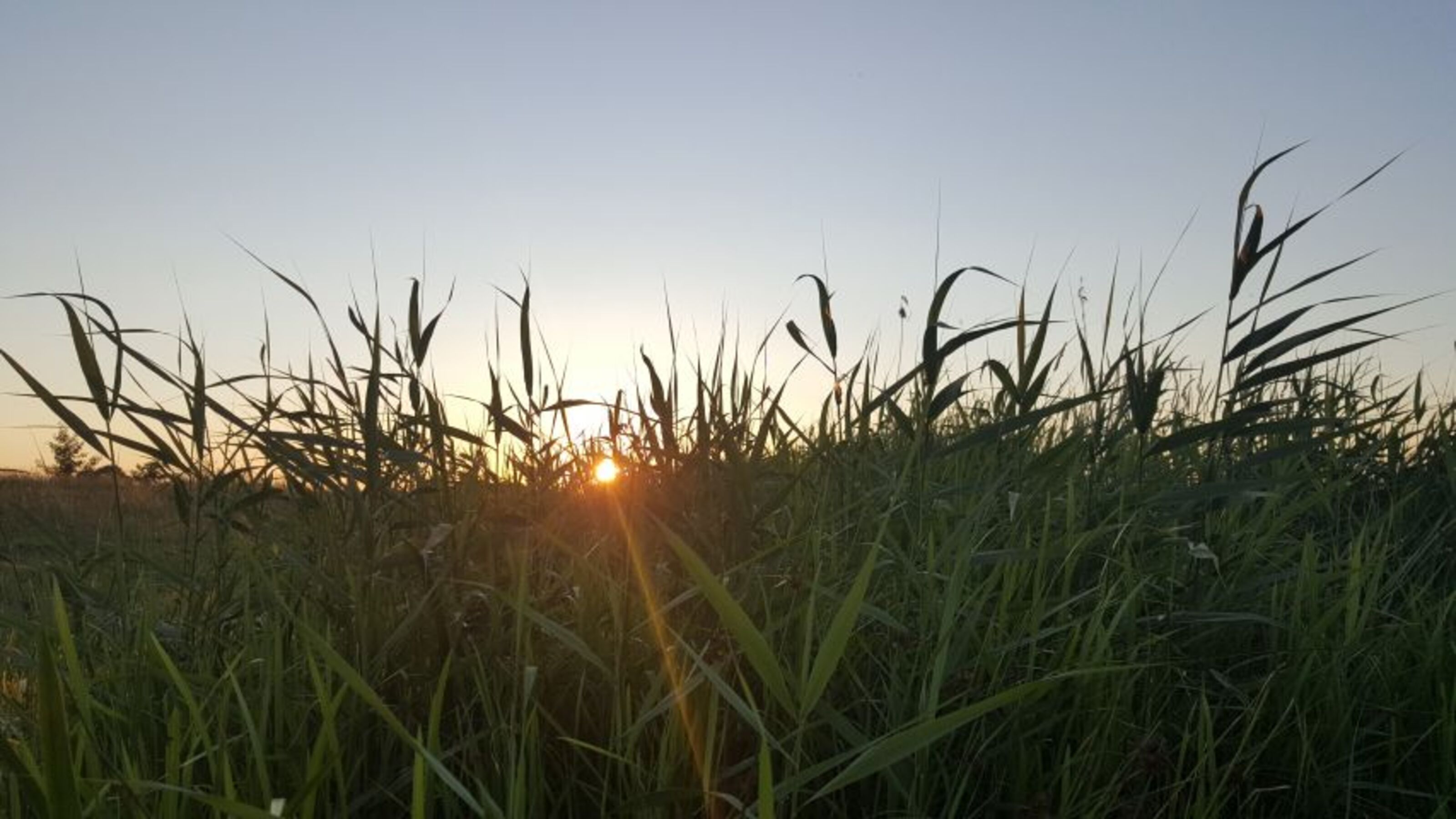 Natur pur ...