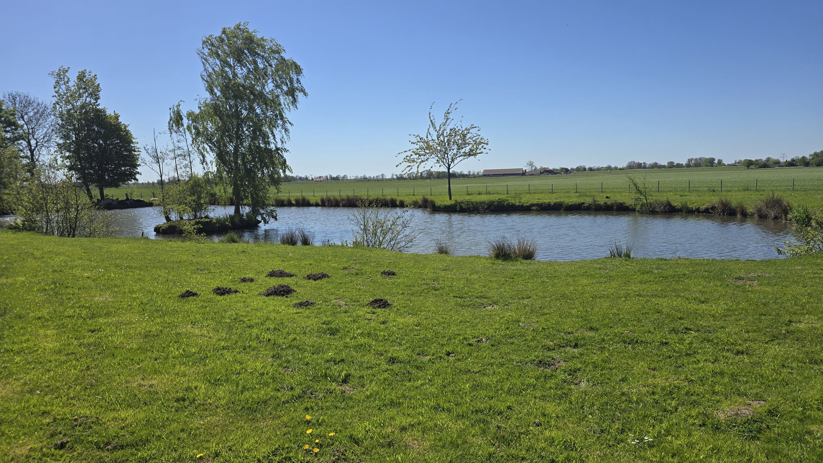 Eigener Teich / Ausblick
