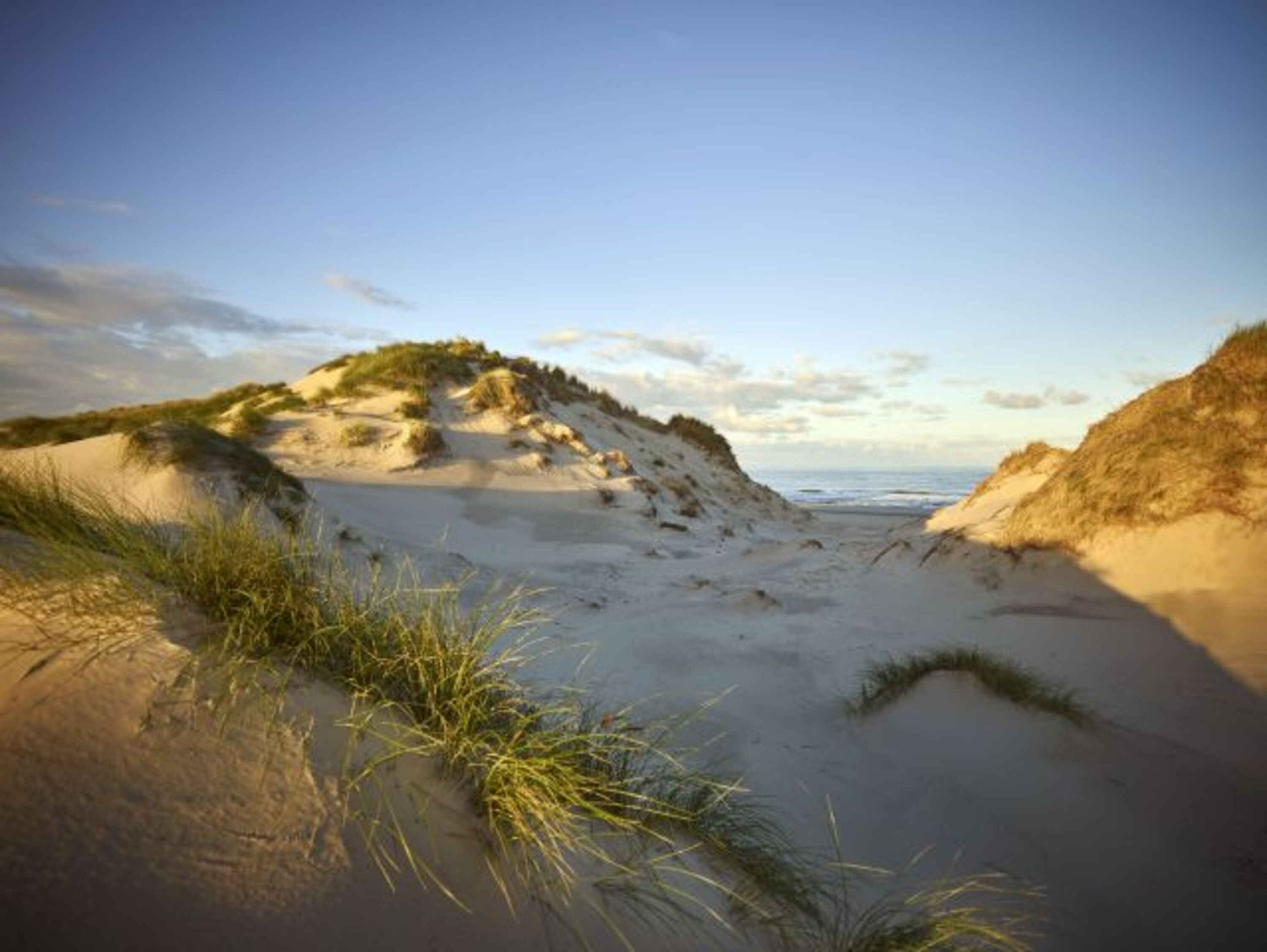Bild 18