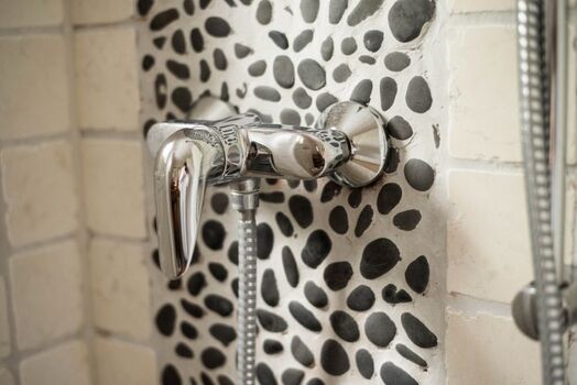 Flusskiesel in der Dusche