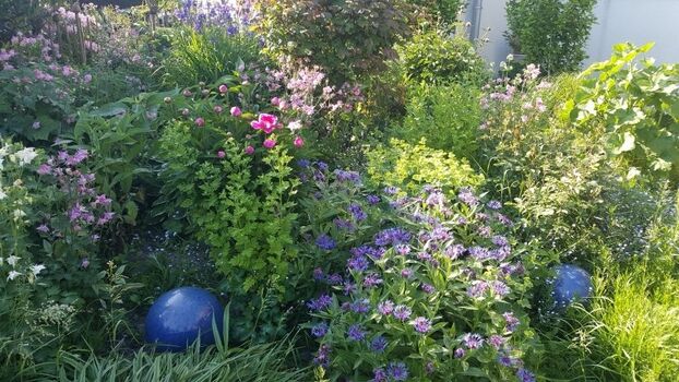 Romantischer Staudengarten