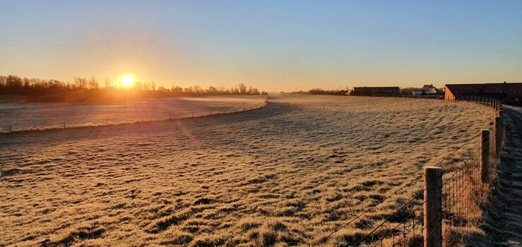 ...am weitläufigen Strand