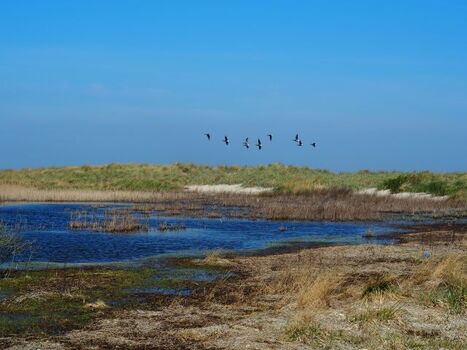 Weltnaturerbe Wattenmeer