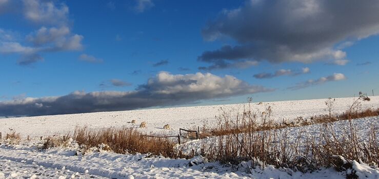 Zauberhafte Winterlandschaft