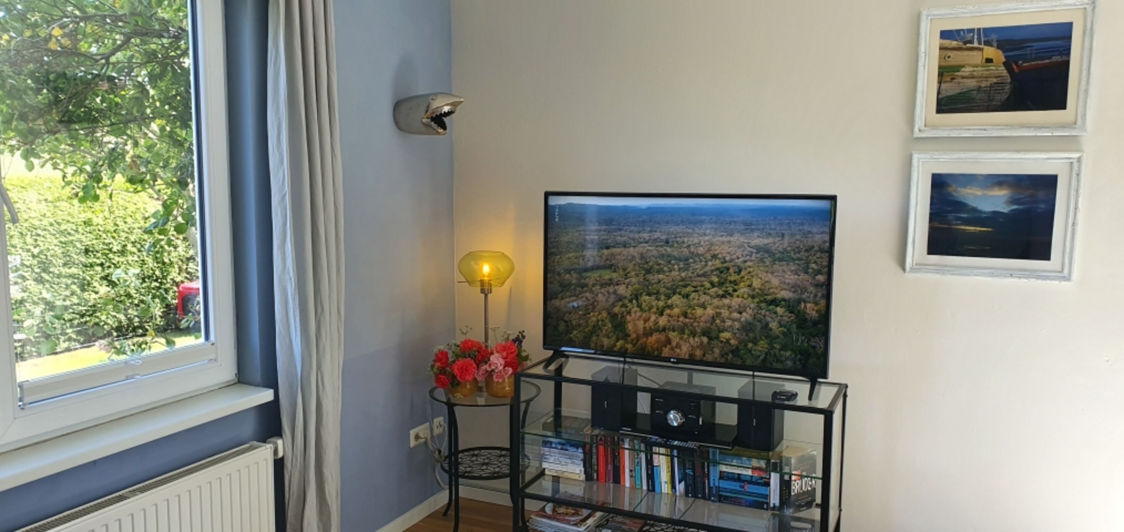 Smart-TV