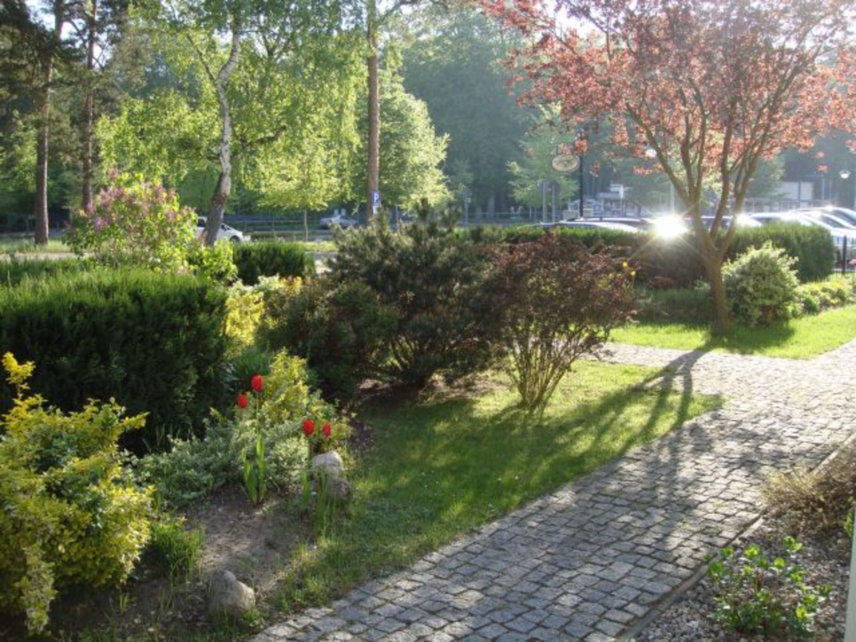 Garten vor dem Haus