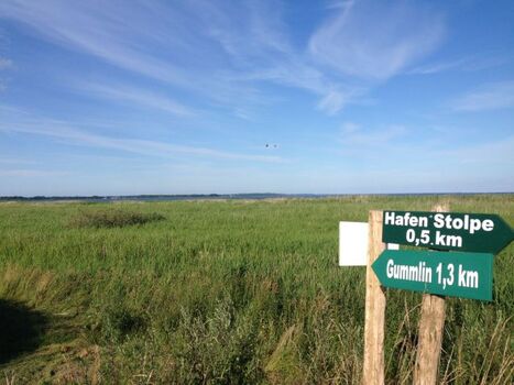Herrliche Wanderung am Schilfufer des Stettiner Haffs
