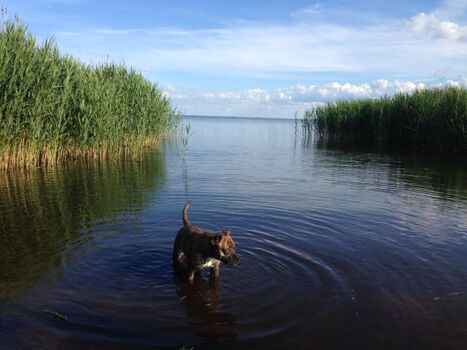 Badestelle nur 350 m entfernt