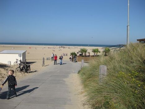 In allen 4 Strand-Lokalen ( in je 900m ) sind Hunde willkommen