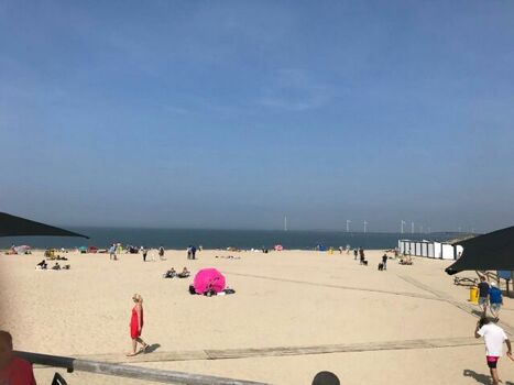 Der Banjaard - Strand wurde schon 5 x ausgezeichnet zum schönsten Strand von NL
