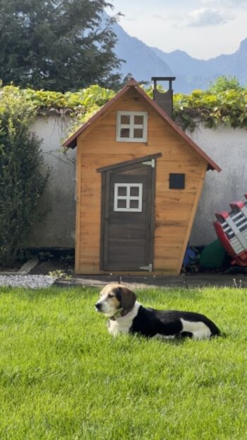 Garten mit Kinderhaus