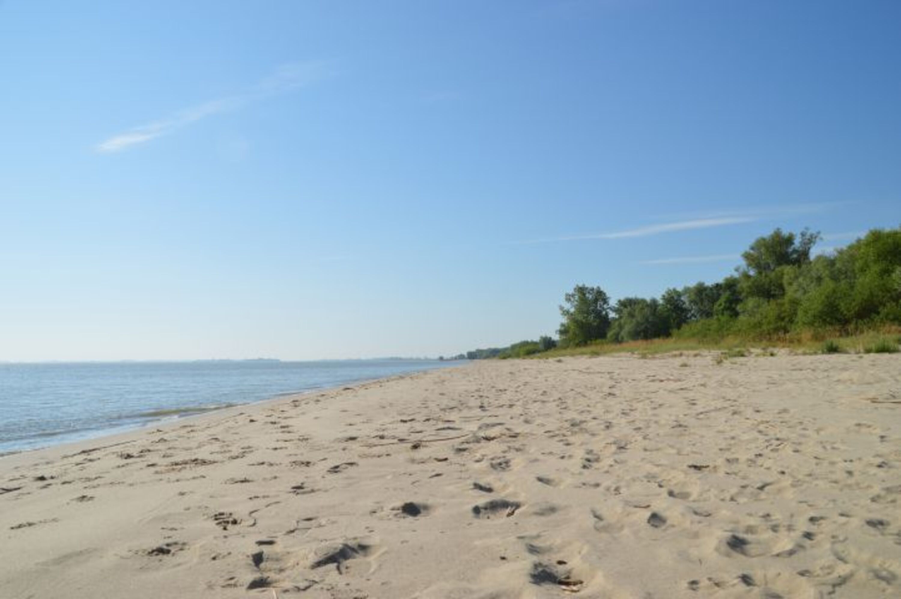 Bild 16