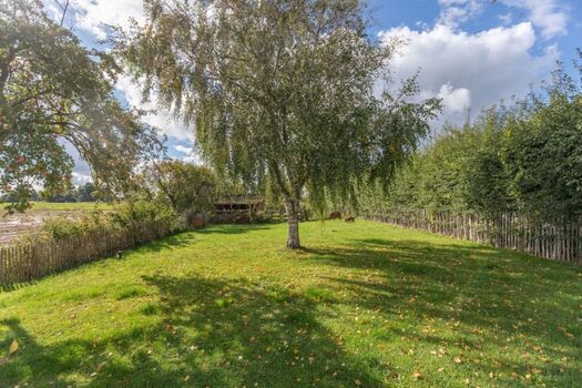 Reethus Koldenbüttel - Der eingezäunte Garten lädt zum toben ein