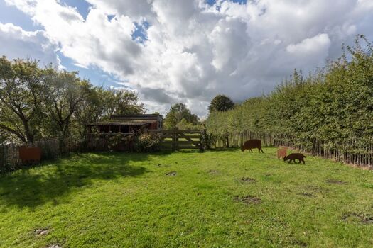 Reethus Koldenbüttel - Eingezäunter Garten 