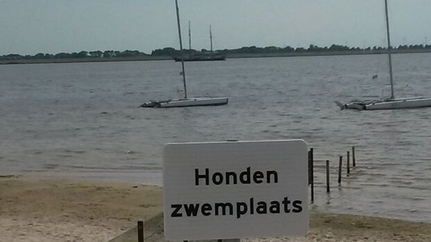 Hundestrand