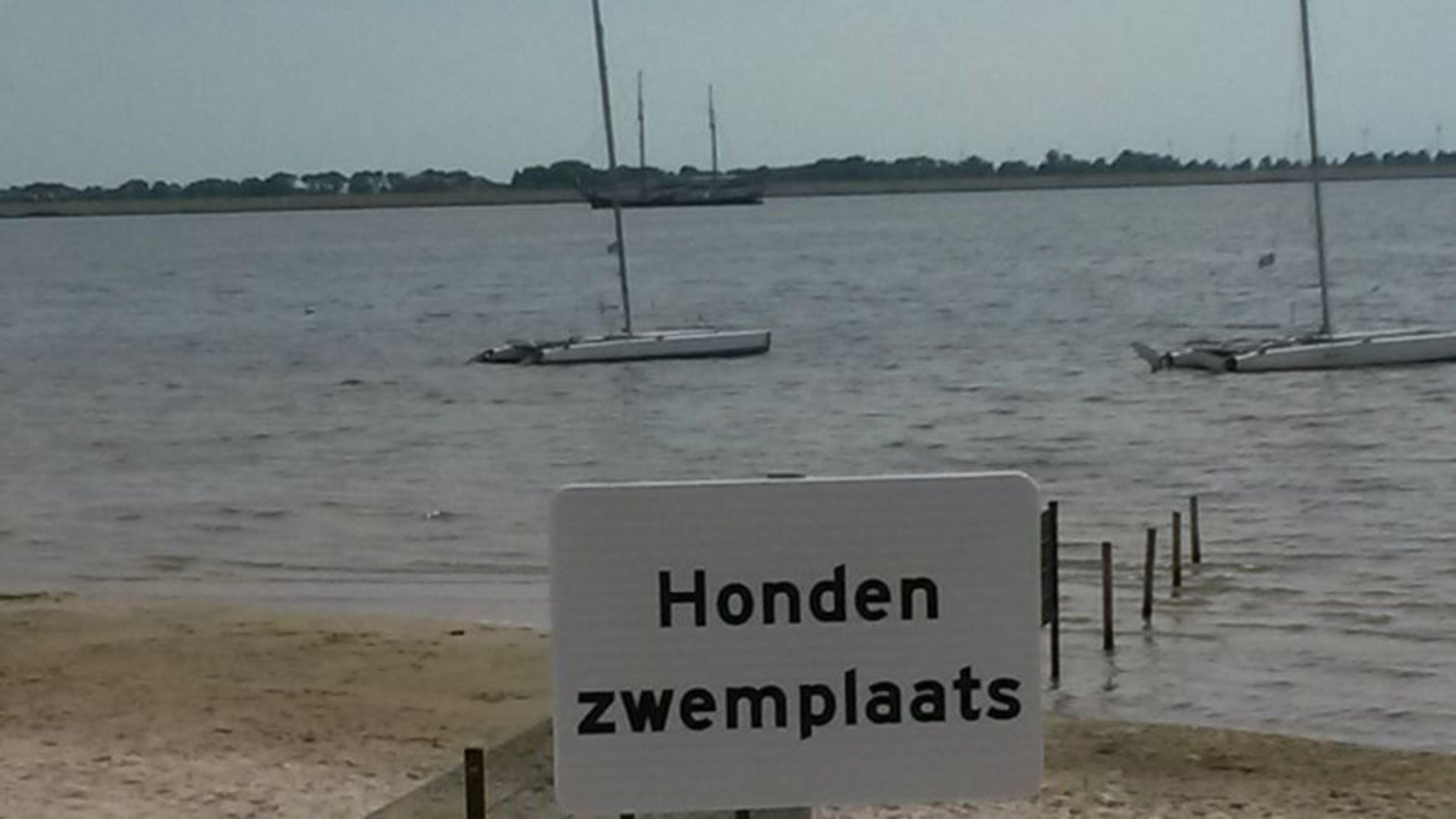 Hundestrand