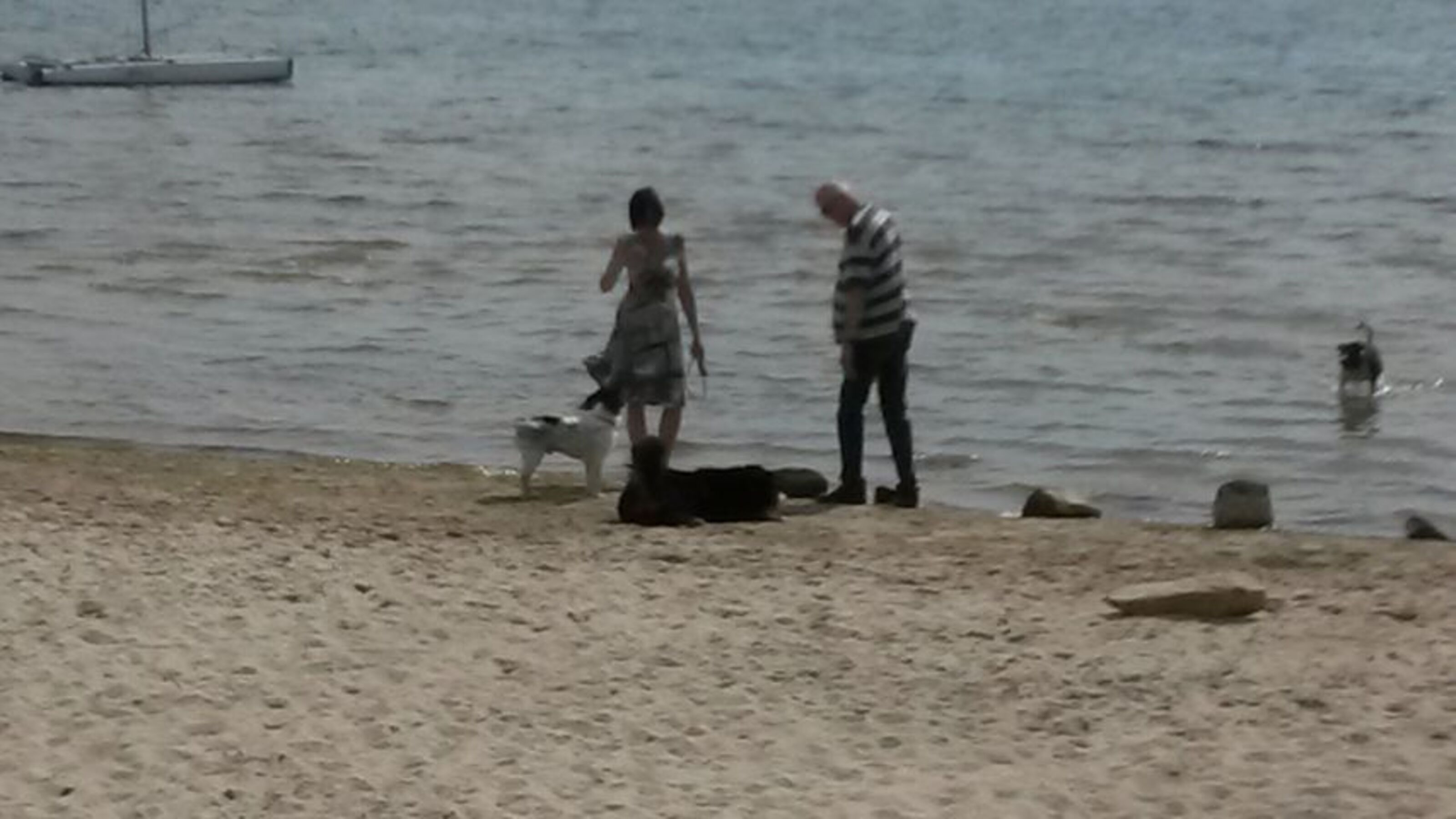 Hundestrand