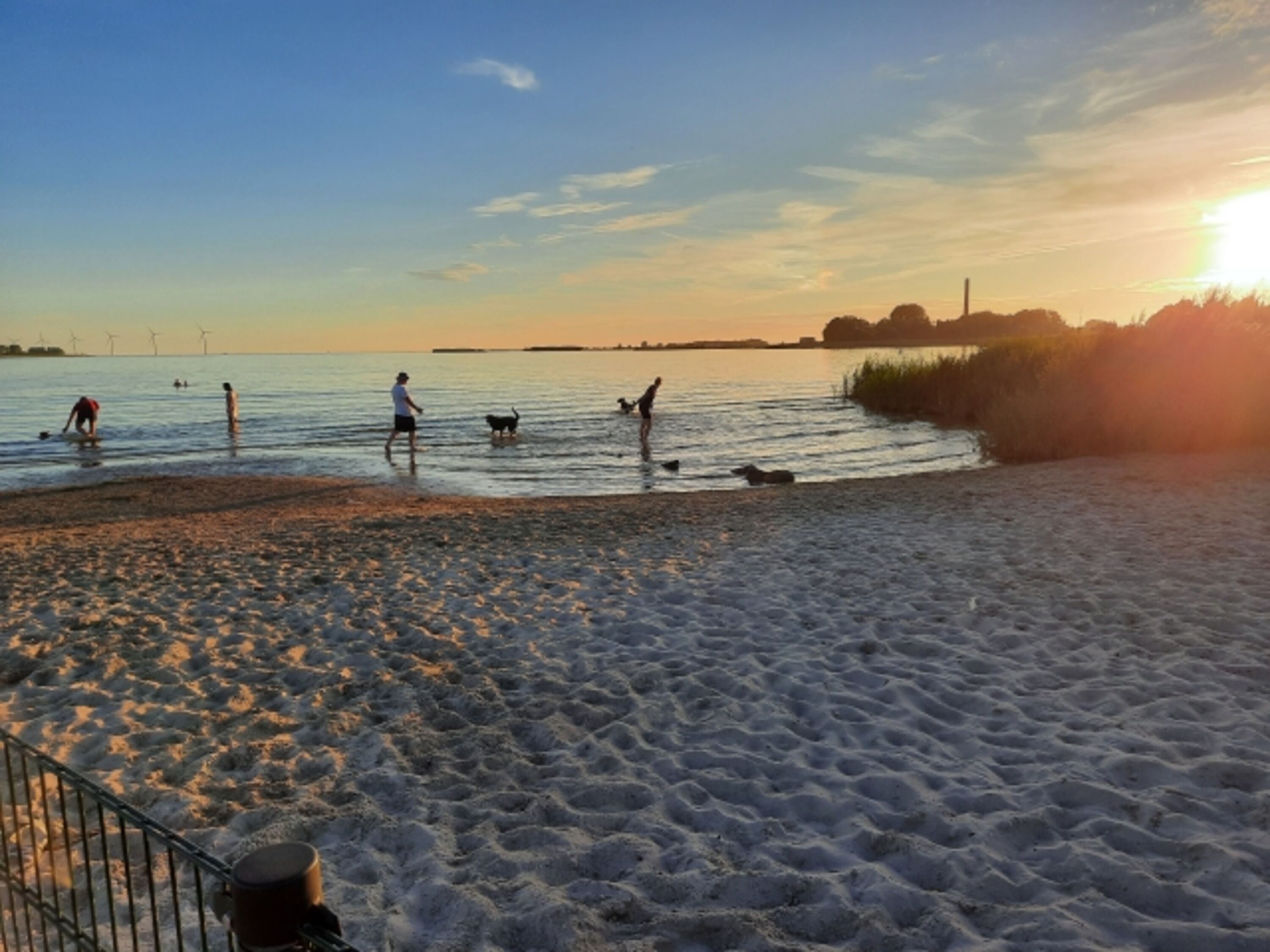 Hundestrand