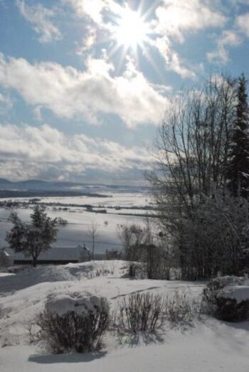 Die Winterlandschaft