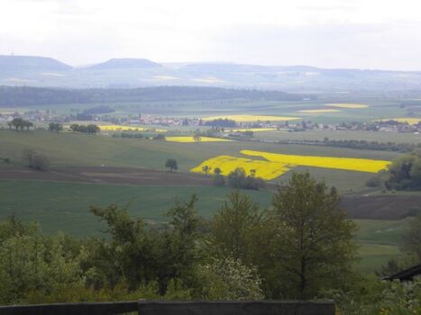 Die herrliche Aussicht