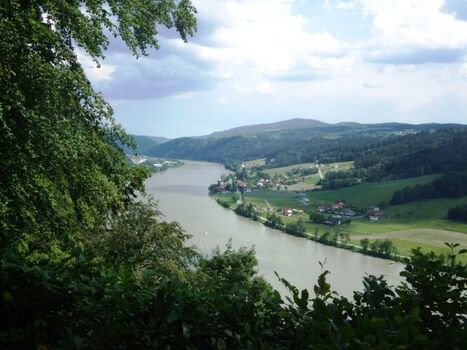 Blick vom Wanderweg "Jägersteig" auf Obernzell, für anspruchsvolle Hundewanderungen