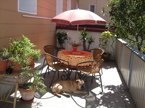Terrasse mit unserem Hund, Herr Gustl