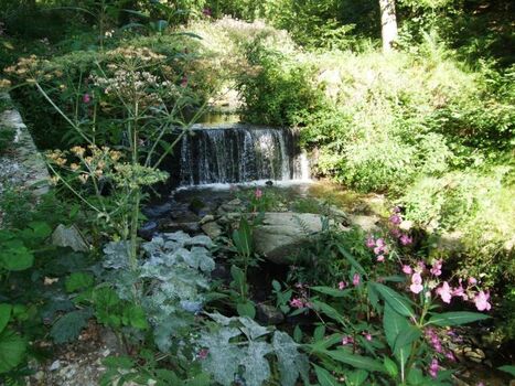 Griesenbachtal in Obernzell, ideal für Hundespaziergänge